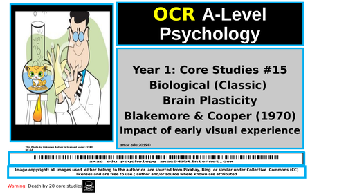 OCR A-Level Psychology: Core Studies #15 Biological (Classic) Brain Plasticity Blakemore & Cooper