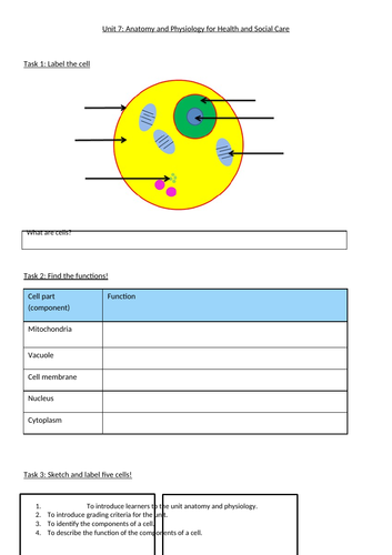 docx, 67.04 KB