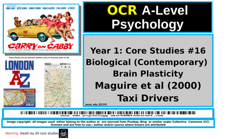 OCR A-Level Psychology: Core Studies #16 Biological (Contemporary) Brain Plasticity, Maguire et al