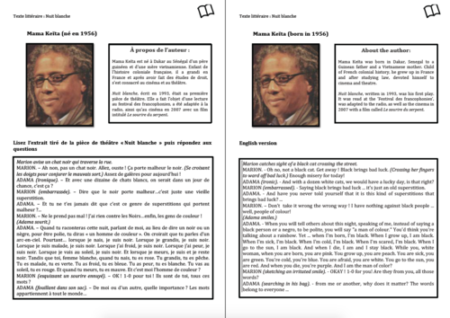 Literary Text- A Level French- Mama Keïta- Worksheet