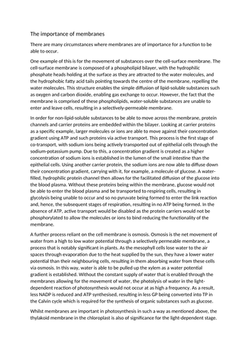 is the reword my essay service on time?