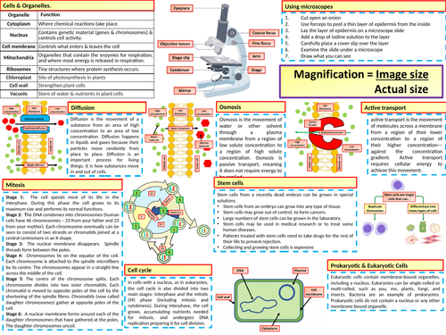 Ks4 Aqa Gcse Biology Science Cells Revision Knowledge Organiser Teaching Resources