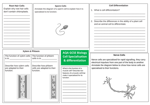 AQA Cell Biology Revision Mats | Teaching Resources