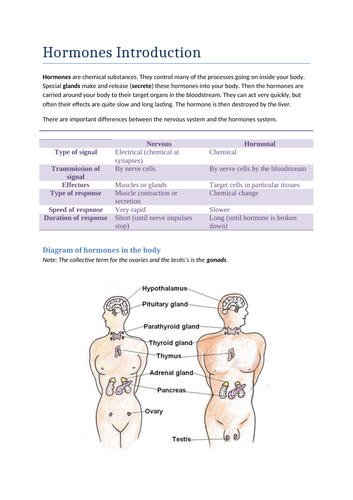 Gcse Biology Hormones Revision Notes And Presentation Teaching Resources 0995