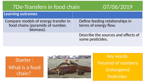 7De- transfers in food chain