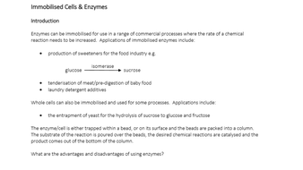 immobilized enzymes experiment a level biology