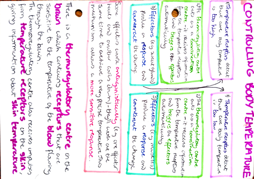 GCSE Biology revision resources | Teaching Resources