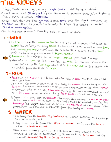 GCSE Biology revision resources | Teaching Resources