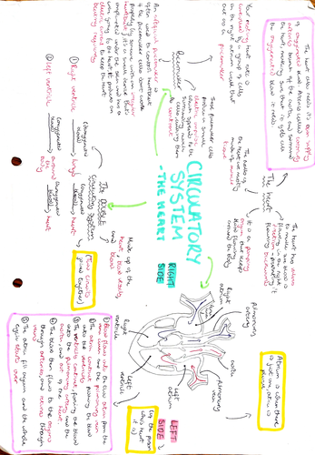 GCSE Biology revision resources | Teaching Resources