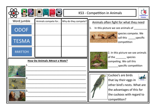 Competition in Animals CLF Lesson & Resources - Lesson 4 - KS4 BIOLOGY |  Teaching Resources