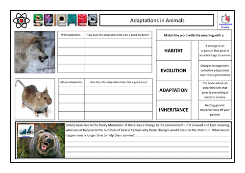 Adaptations in Animals (Predators & Prey) CLF Lesson & Resources