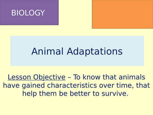 Adaptations in Animals (Predators & Prey) CLF Lesson & Resources