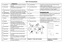 Key Stage 3 Knowledge organiser 7C Ecosystems | Teaching Resources