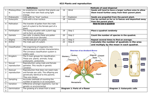 docx, 593.41 KB