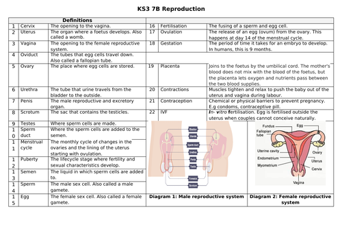 docx, 65.58 KB