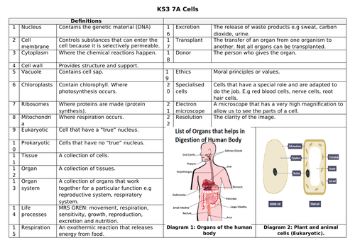 docx, 33.63 KB