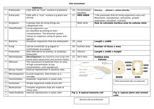 docx, 111.3 KB