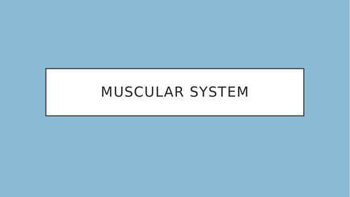 GCSE PE Muscular System