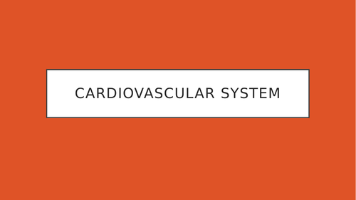 GCSE PE Cardiovascular System