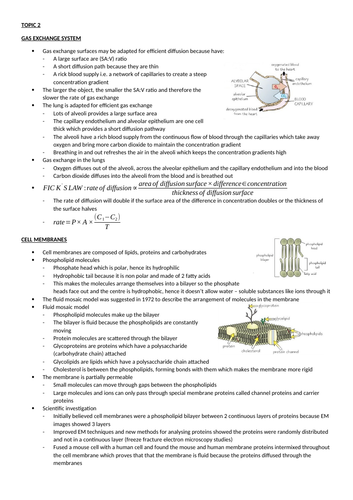 docx, 967.5 KB