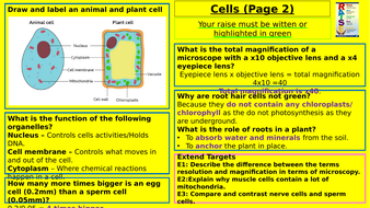 Year 7 science homework booklet answers image