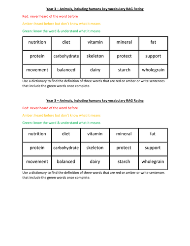 Year 3 Science RAG Rate key vocabulary
