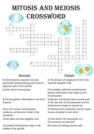 Biology Crossword Puzzle: Mitosis and meiosis | Teaching Resources