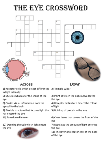 Biology Crossword Puzzle: The eye Teaching Resources