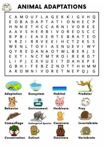 animal adaptations word search activity teaching resources