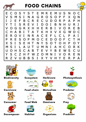 Food Chains Word Search Activity | Teaching Resources