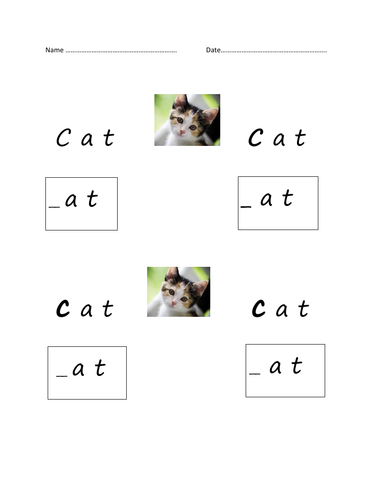 30 pages designed for workstations for students on P levels /PRE-KEY STAGE 1-2 STANDARD/ - animals