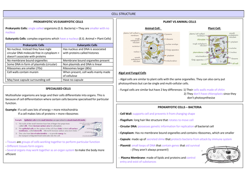 AQA A LEVEL BIOLOGY - Cell Structure Revision