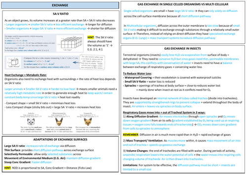 AQA A LEVEL BIOLOGY - Exchange Revision