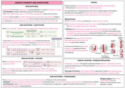 AQA A LEVEL BIOLOGY - Genetic Diversity + Adaptation