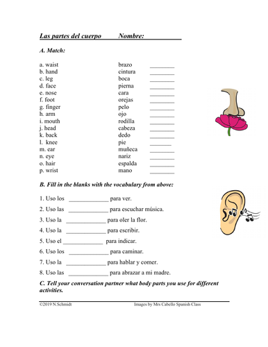 Las partes del cuerpo: Body Parts Spanish Worksheet