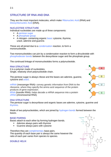 docx, 420.32 KB