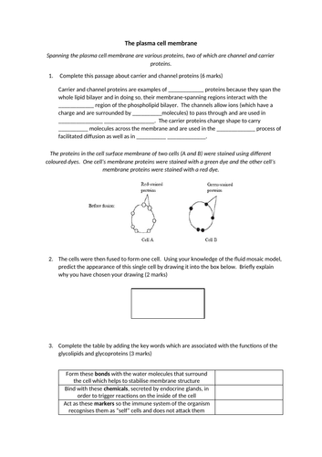 docx, 184.89 KB