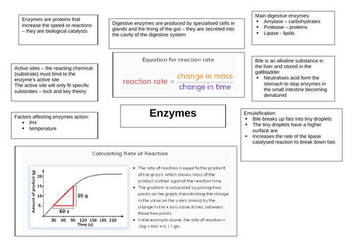 Biology Paper 1 Revision