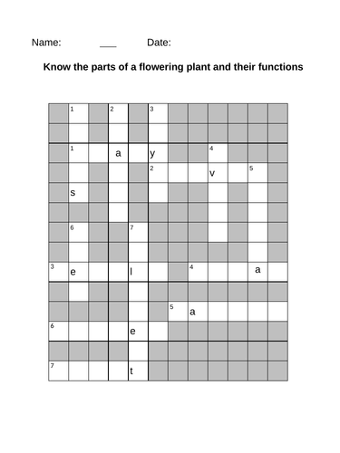 Parts of a Flower KS2 Worksheets, Activities, Lesson Plan and Plenary