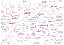 History GCSE revision mindmaps | Teaching Resources