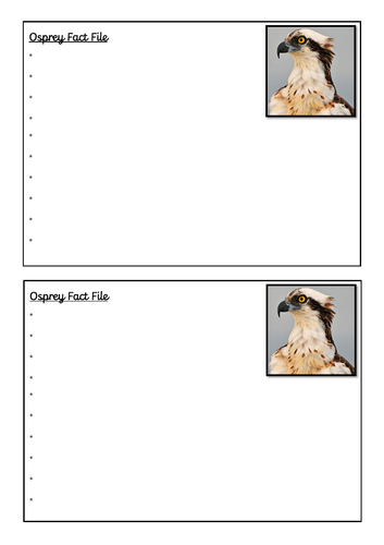pdf, 47.08 KB