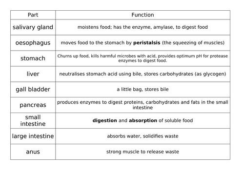 docx, 14.1 KB