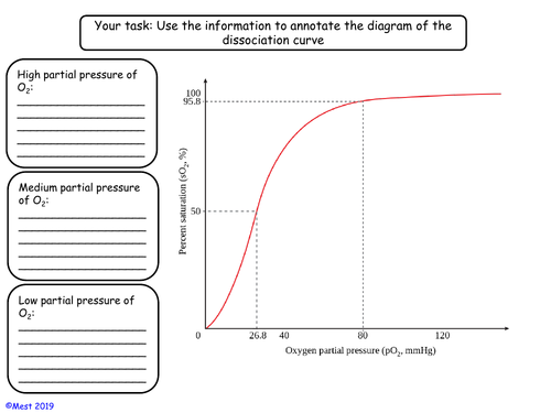 Oxygen & carbon dioxide transport Year 12 biology NEW A-level spec. for