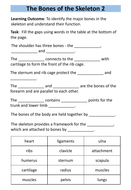 AQA GCSE PE - The Skeletal System Workbook / Worksheets | Teaching ...
