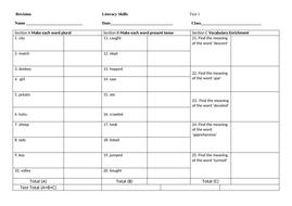 Year 5 literacy tests. | Teaching Resources