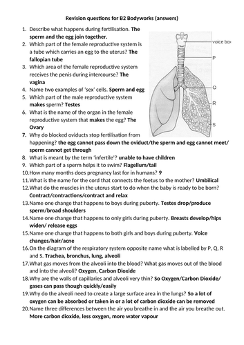 Summative Assessment and Revision Material