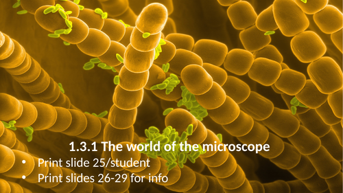 1.3.1 The world of the microscope (AQA 9-1 Synergy)