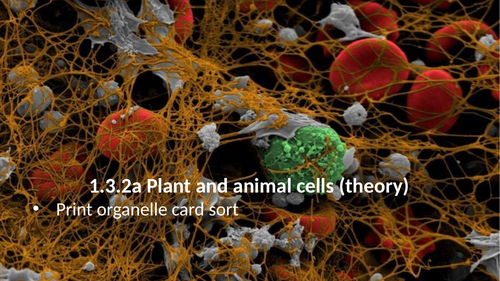 1.3.2 Animal and plant cells (AQA 9-1 Synergy)