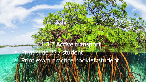 1.3.7 Active transport (AQA 9-1 Synergy)