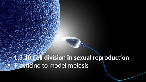 1.3.10 Cell division in sexual reproduction (AQA 9-1 Synergy)